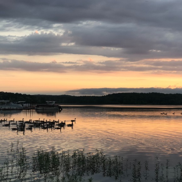 Meet your Posher, Michelle - Picture 1 of 1